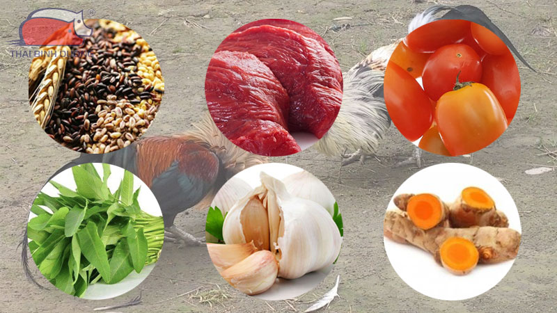 cách vô mồi cho gà đá