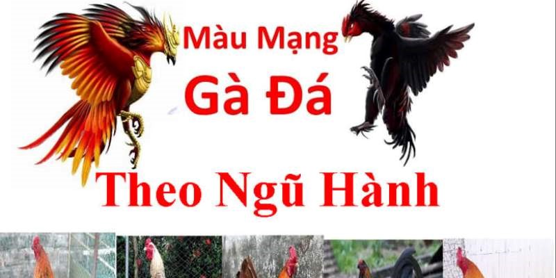 Coi ngày đá gà