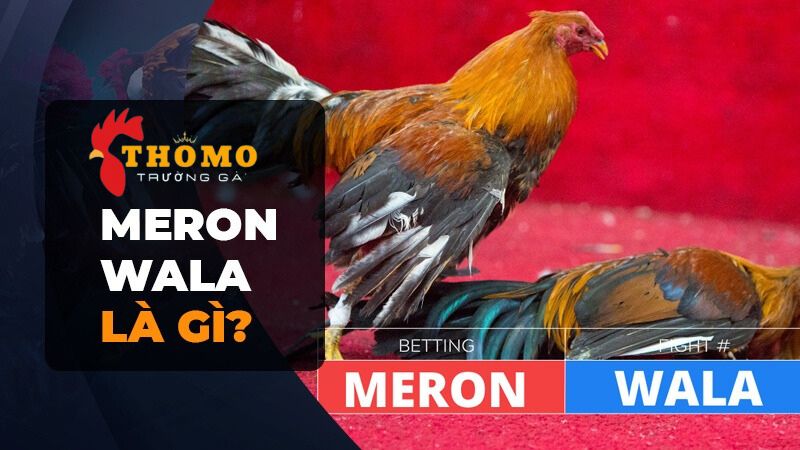 Cửa Wala và cửa Meron